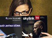 skylink-tv-icon