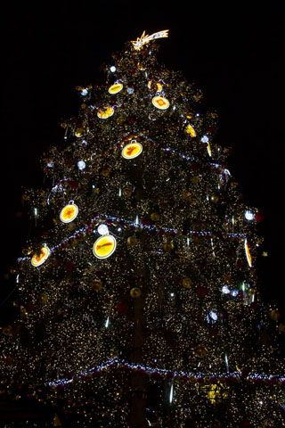 Vánoční strom na Staroměstském náměstí v Praze. Foto: Hitrádio City 93,7 FM